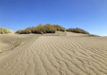 Ocean Dunes Retreat -  Fun in the sun at Ocean Dunes Retreat